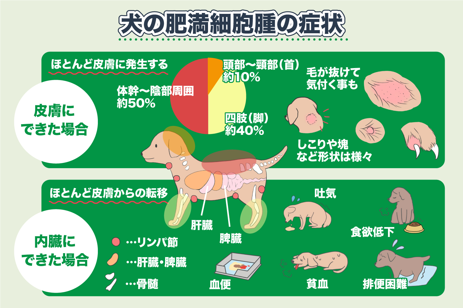 代表的な猫のメラノーマ治療法