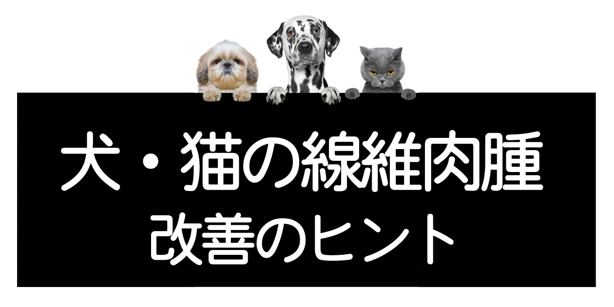 Fibrosarcoma de gatos y perros – Tumores malignos, exámenes, cirugía, tratamientos, consejos para la mejora y curaイメージ