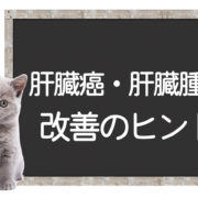 猫の肝臓癌の克服方法