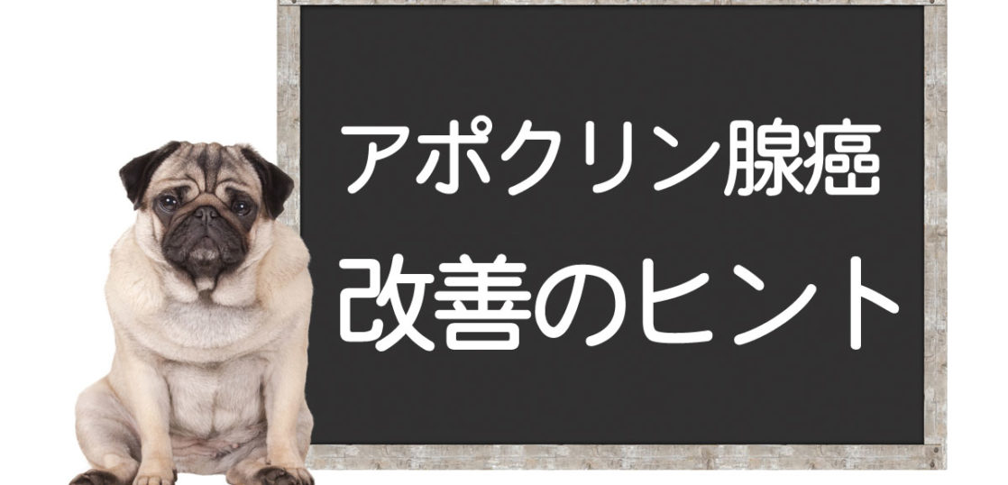 犬のアポクリン腺癌の改善方法