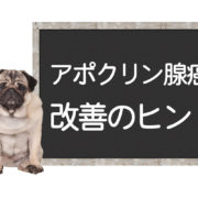 犬のアポクリン腺癌の改善方法