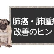 犬の肺癌の改善方法