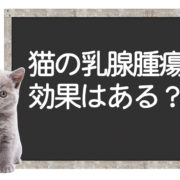 猫の乳腺腫瘍