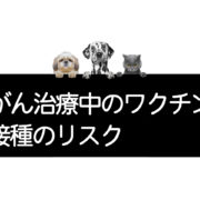 がん治療中のワクチン接種の危険性