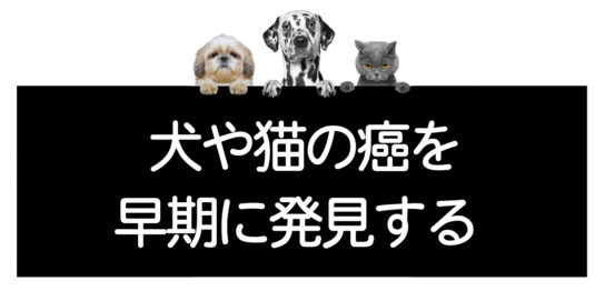 犬猫の癌の早期発見