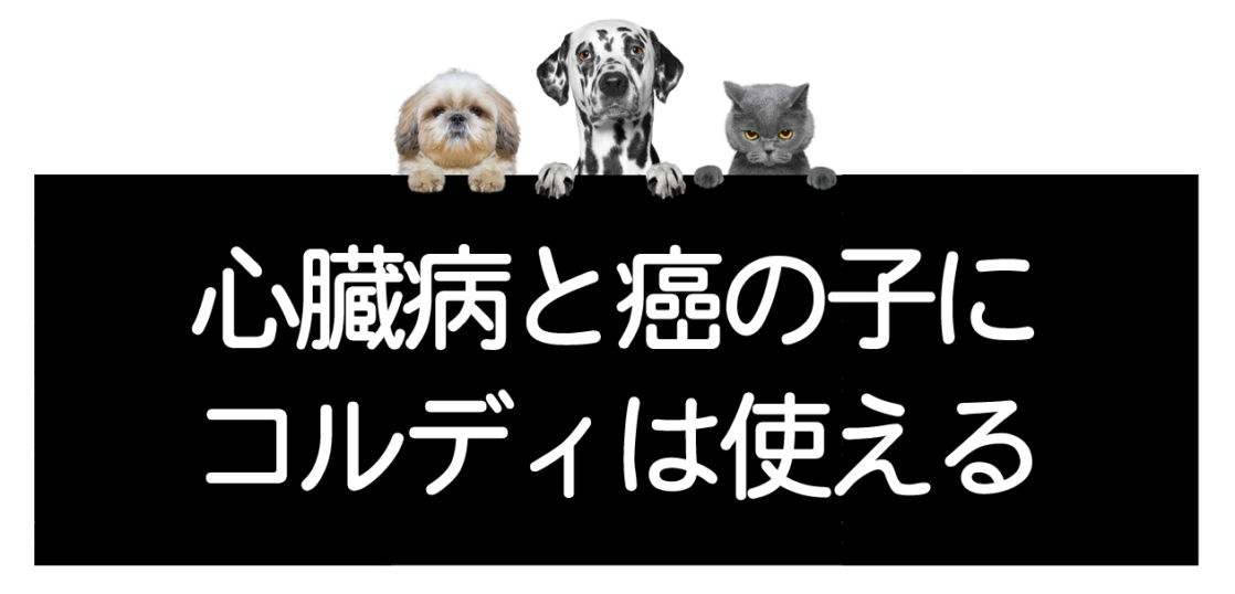 El siguiente texto se traducirá del japonés al español, dejando cualquier código, URL u otra ruta de archivo en su forma original.

悪性腫瘍（がん）と心疾患を併発時の対処法＜研究室への相談＞

Método de manejo cuando se presentan simultáneamente tumores malignos (cáncer) y enfermedades cardíacas ＜Consulta con el laboratorio＞