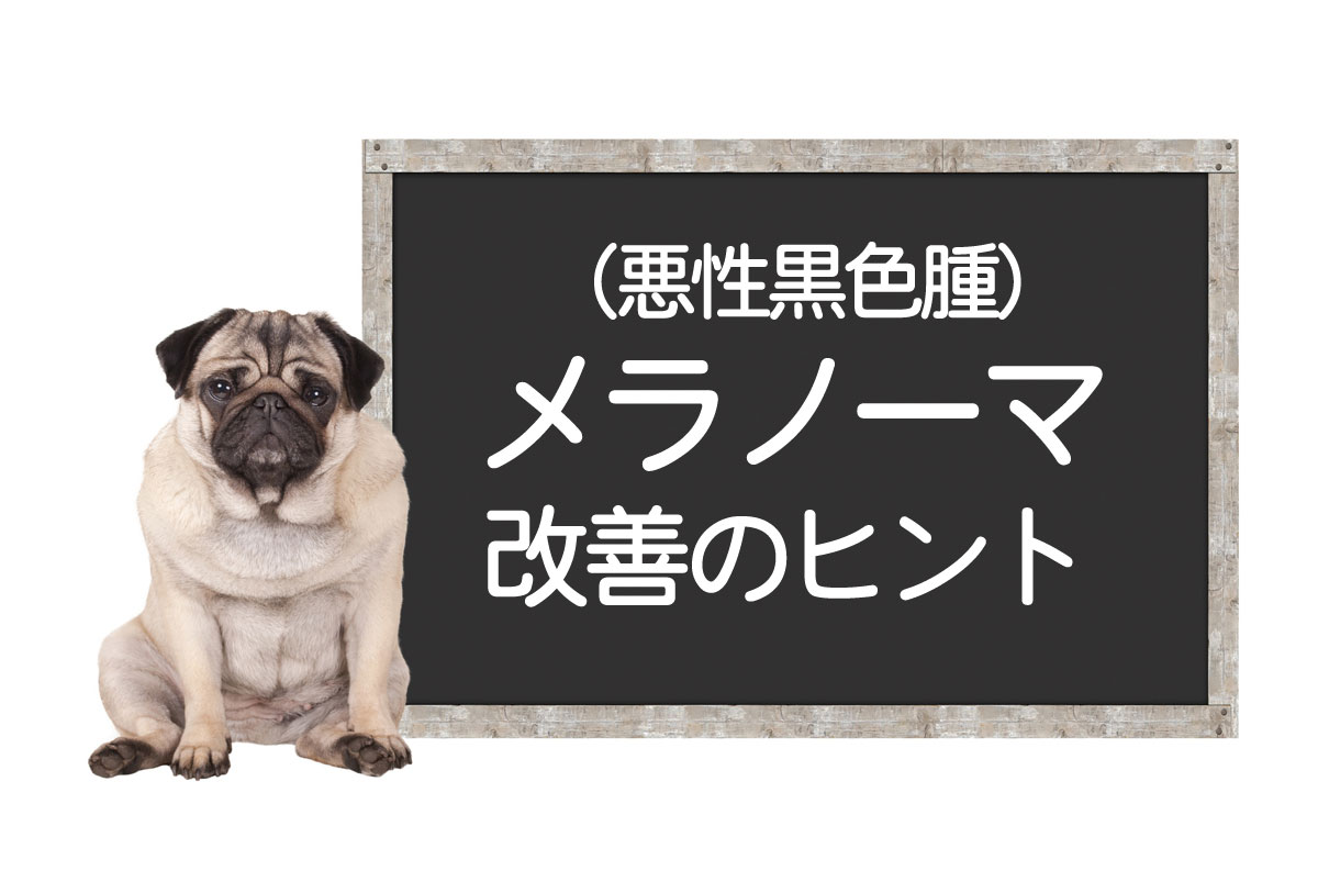 Melanoma en perros: causas del tumor, síntomas terminales, mejoramiento de tratamientos e imágenes iniciales.イメージ