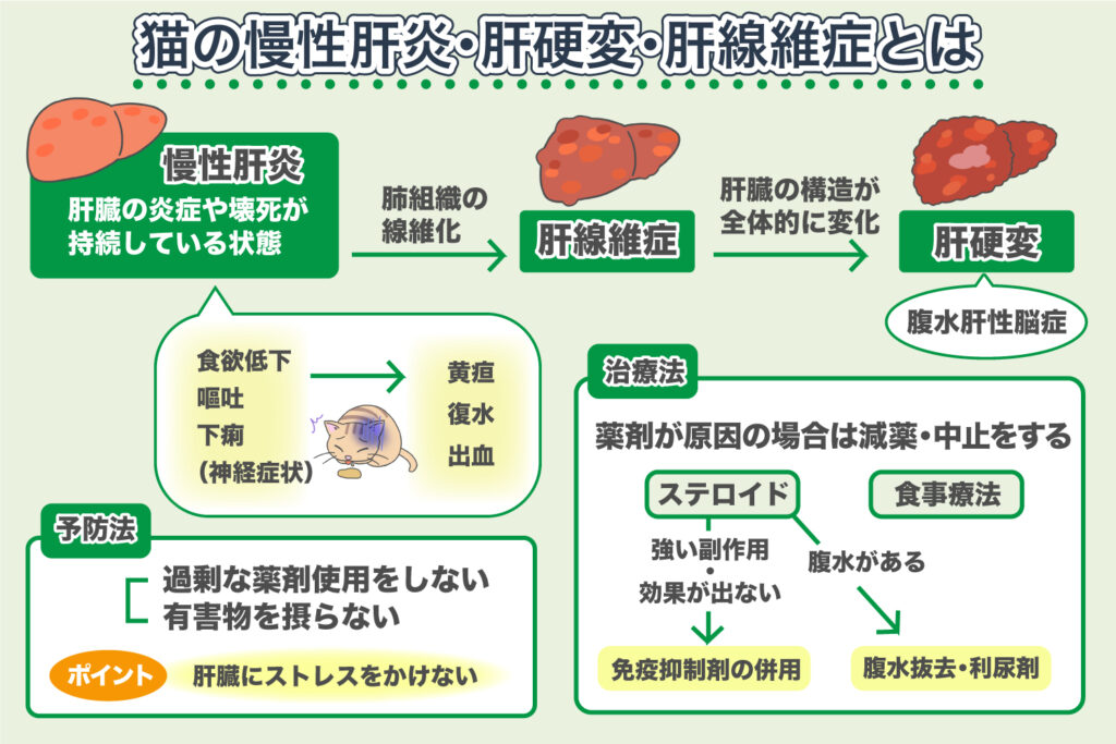 Hepatitis crónica, cirrosis hepática y fibrosis hepática