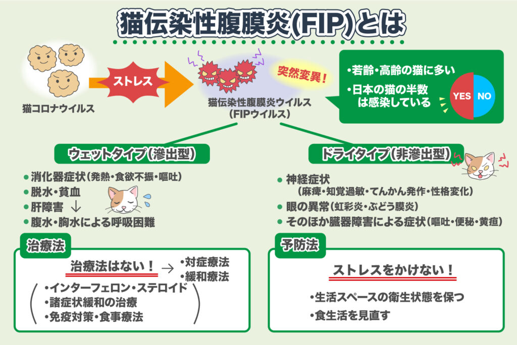 Peritonitis Infecciosa Felina (FIP)