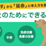 犬のリンパ腫改善のヒント