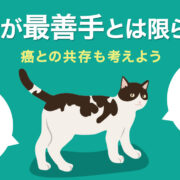 猫の癌の克服方法