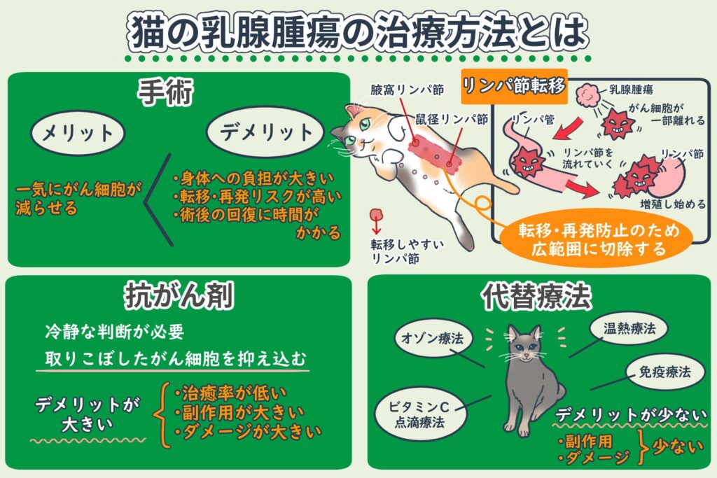 Tratamientos para el tumor mamario en gatos