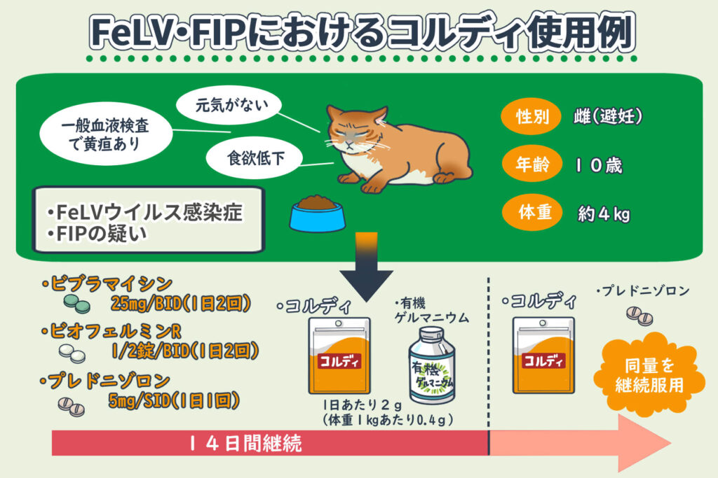 Ejemplos de uso de Cordy en FeLV y FIP