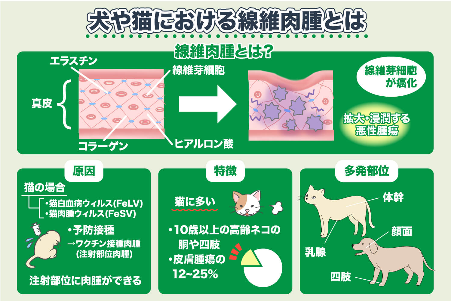 ¿Qué es el fibrosarcoma en perros y gatos?